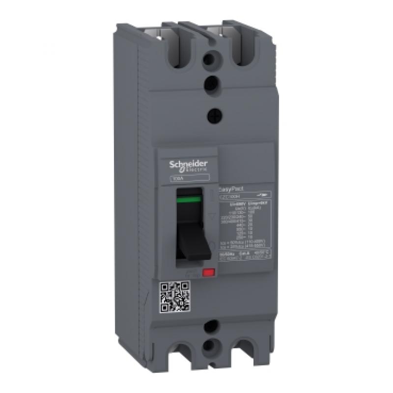 Автоматичний вимикач EASYPACT EZC100H 80A 2P2D,30kA ,TMD Фото: Автоматичний вимикач EASYPACT EZC100H 80A 2P2D,30kA ,TMD